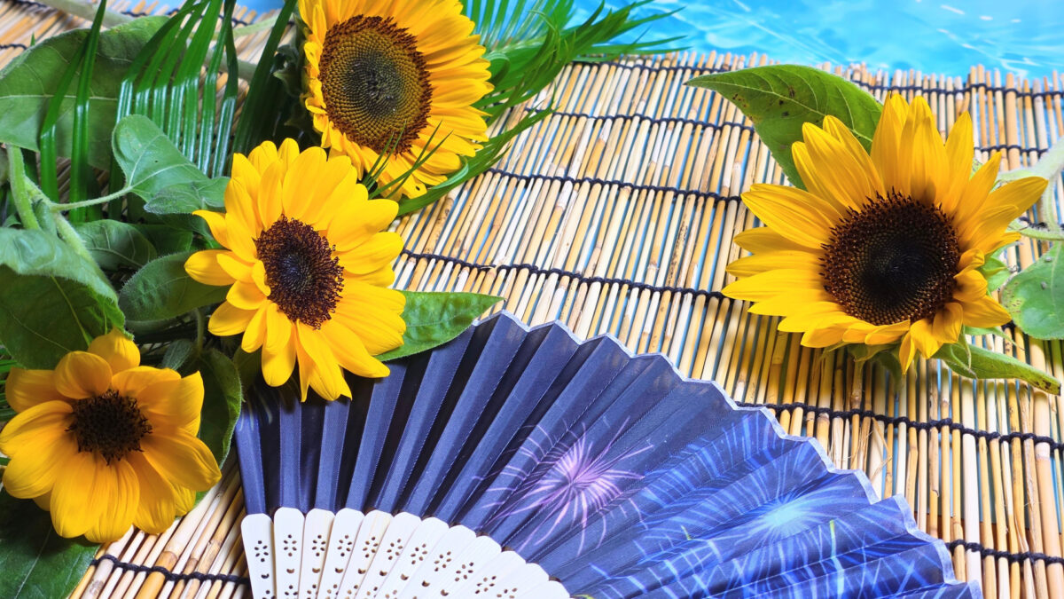 【中3・夏休み】受験の天王山!「夏を制する者」になるために絶対やるべき総復習のやり方