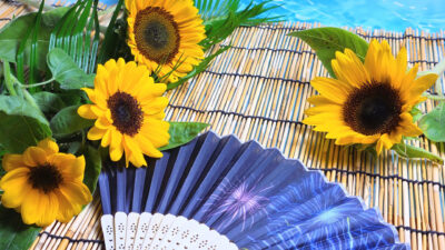 【中3・夏休み】受験の天王山！「夏を制する者」になるために絶対やるべき総復習のやり方